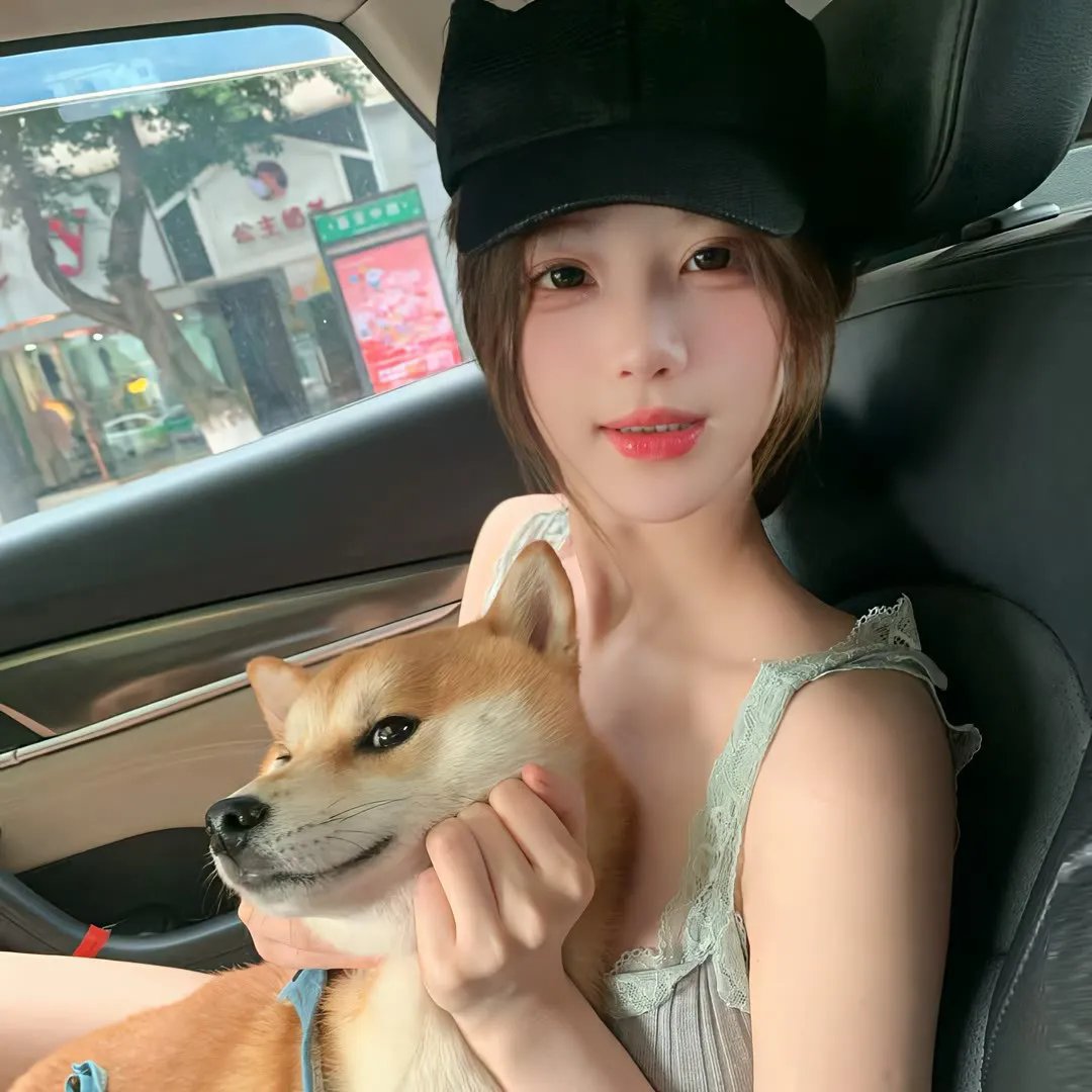 狗的生涯